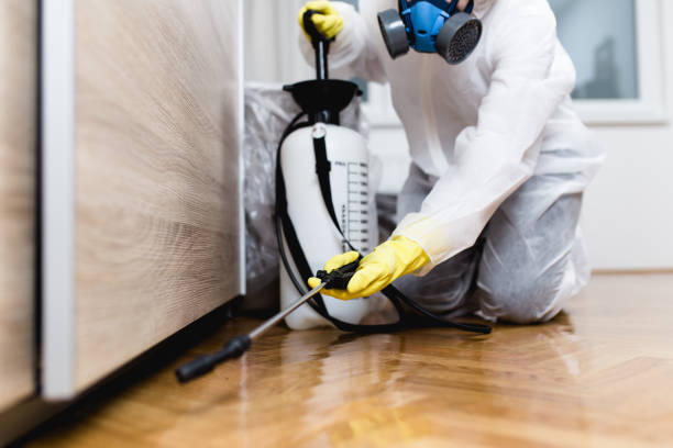 Best Rat Extermination Near Me  in Cuyahoga Falls, OH