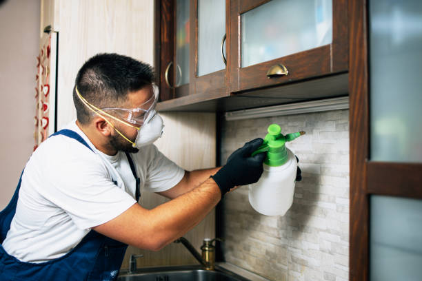 Best Pest Control Near Me  in Cuyahoga Falls, OH