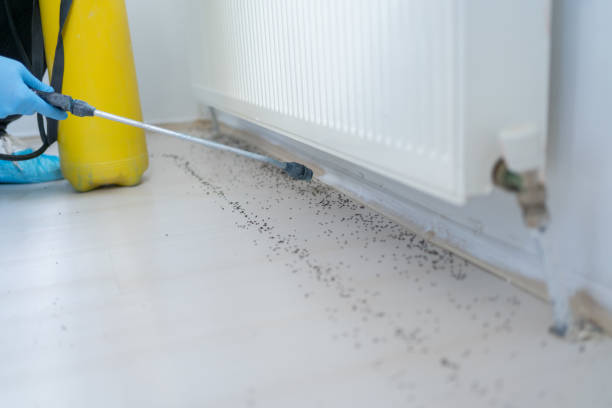 Best Exterminator Services  in Cuyahoga Falls, OH