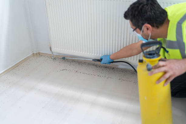 Best Best Pest Control Companies  in Cuyahoga Falls, OH