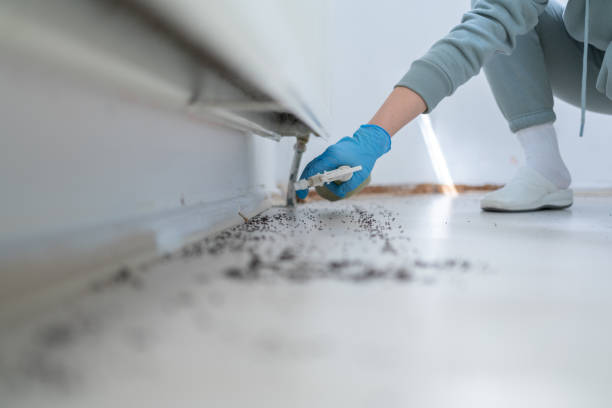 Best Pest Control Near Me in Cuyahoga Falls, OH