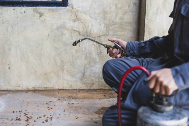 Best Exterminator Services  in Cuyahoga Falls, OH